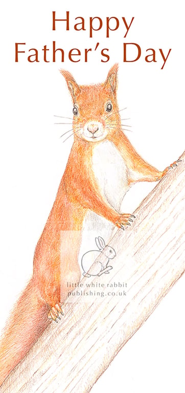 Red Squirrel - Father's Day Card