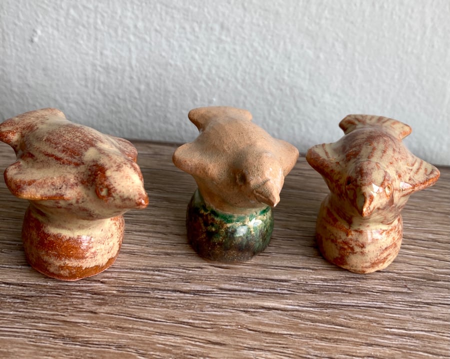 Garden cane tops - Birdie x3