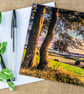 Sunset Evening Landscape English Countryside Blank Greetings Card Wiltshire UK - Image 2