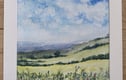 Original watercolour paintings