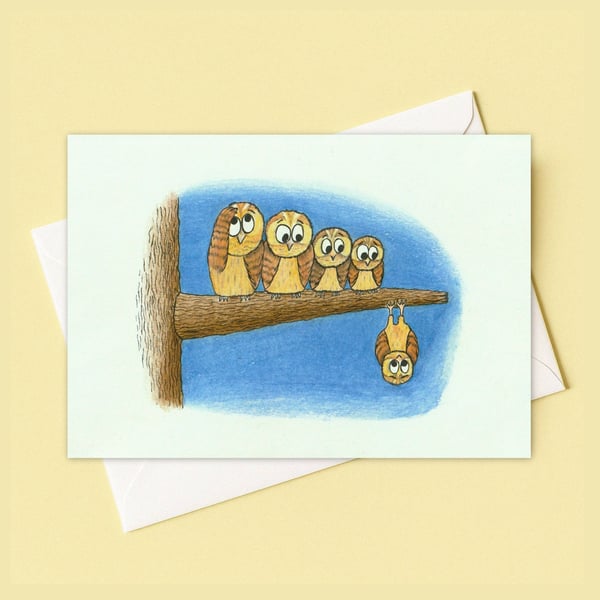 Night Owls Greetings Card: Illustrated Birthday Card for an Animal Lover (206)