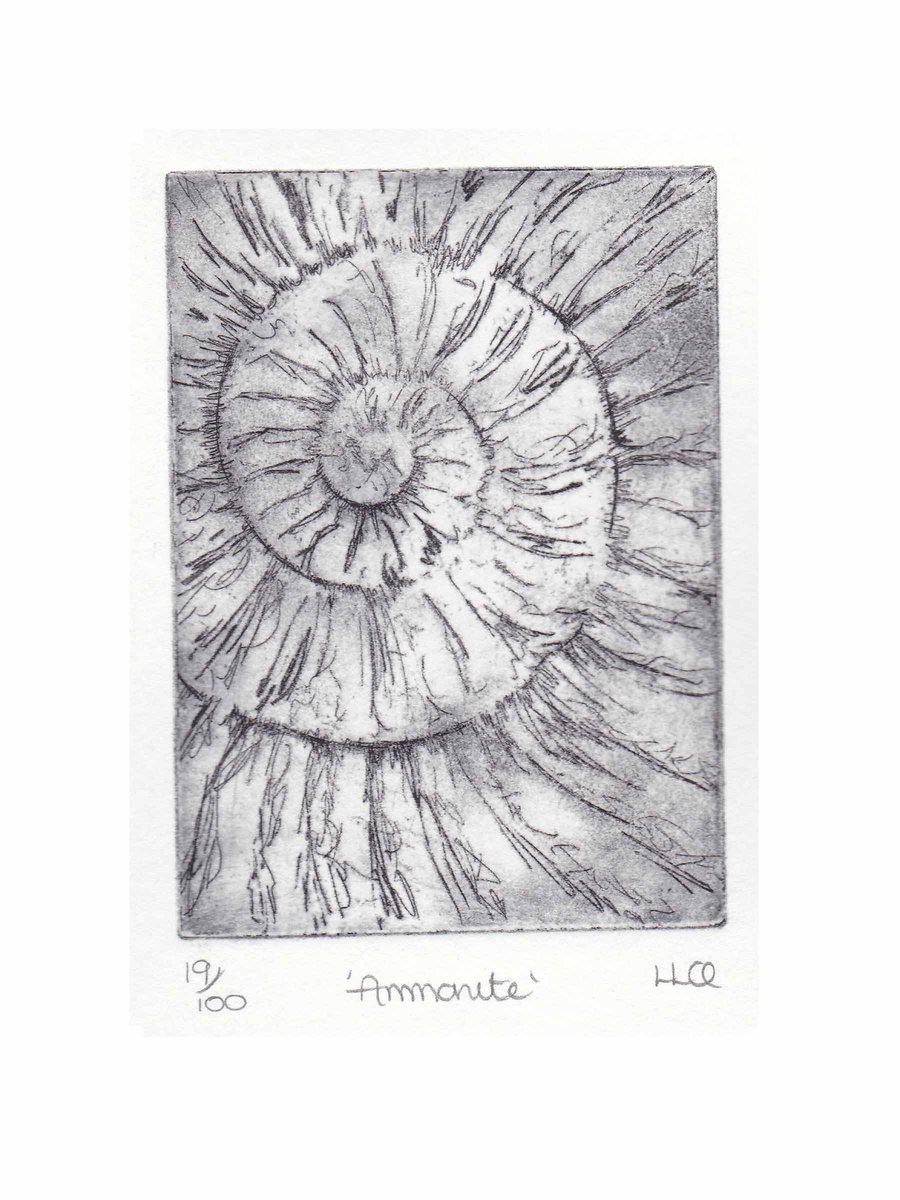 Etching no.19 of an ammonite fossil in an edition of 100