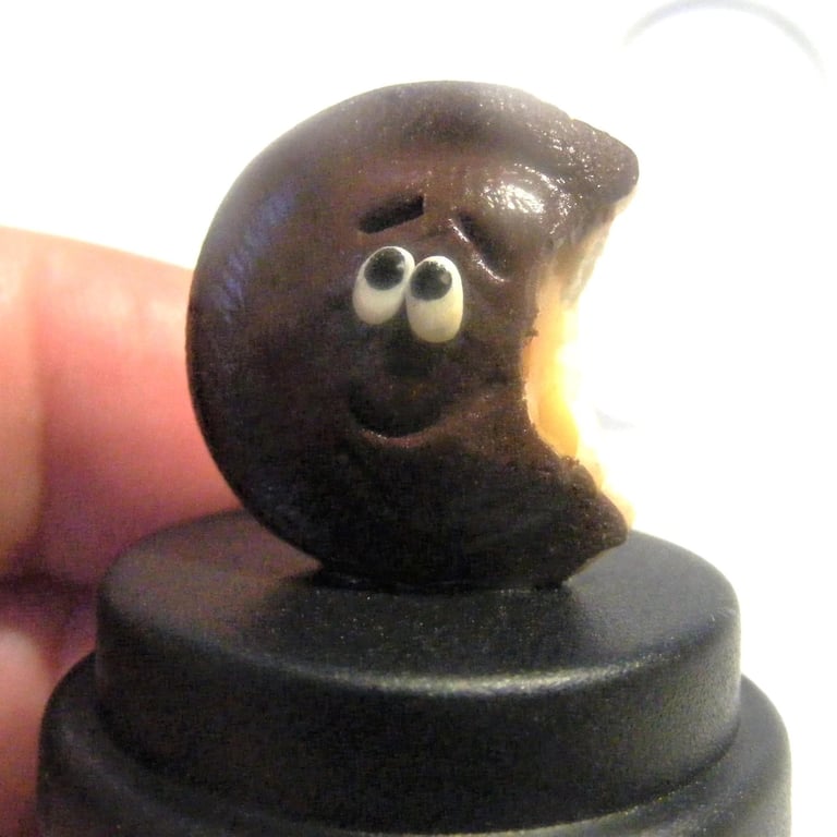 Jaffa Cake inspired pet, Pet Cake, Biscuit gift