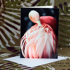 Exclusive Handmade Graceful Flamingo Greetings Card on Archive Photo Paper