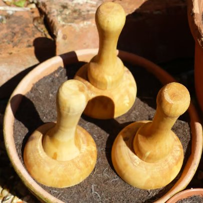 Pot tamper tool to flatten soil