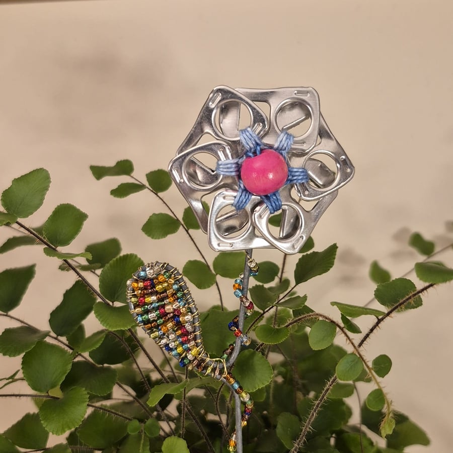 Silver, pink & blue flower plant companion perfect for pot plants