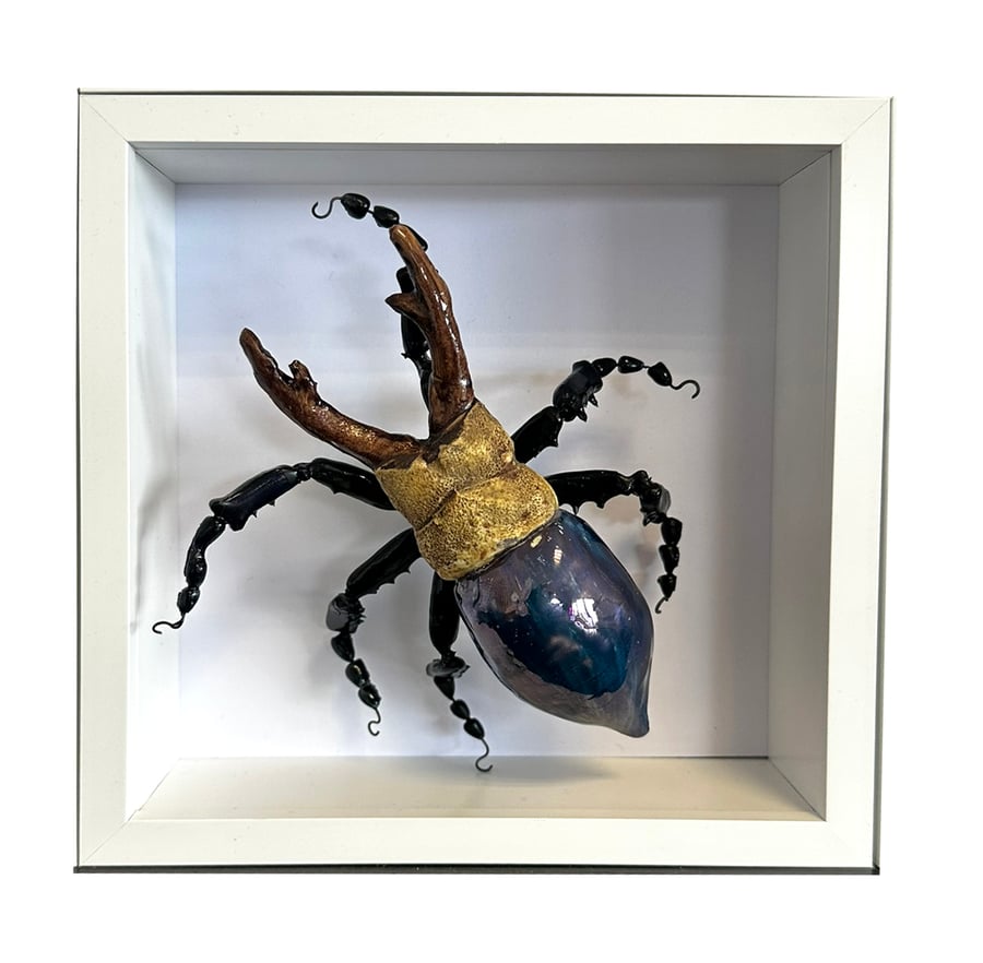 Ceramic Porcelain Bug Horned Beetle - Arnold