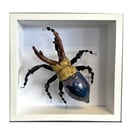 Ceramic Porcelain Bug Horned Beetle - Arnold