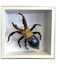 Ceramic Porcelain Bug Horned Beetle - Arnold - Image 1