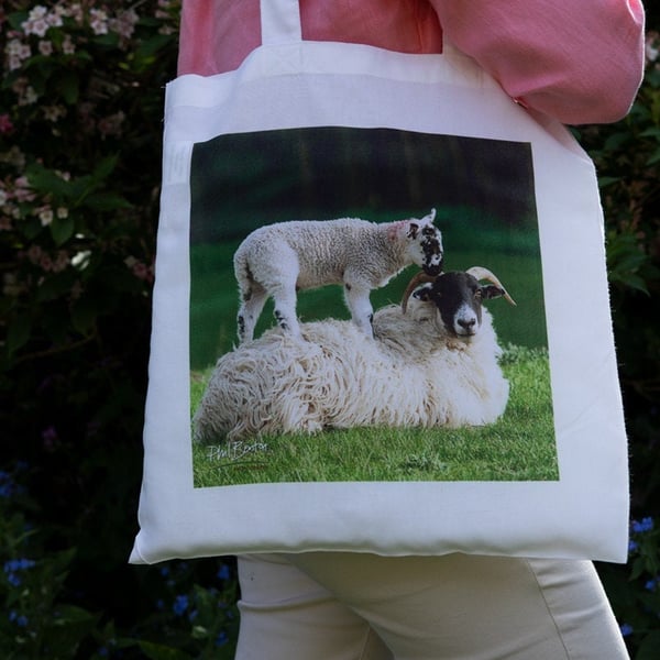 Sheep and Lamb - Piggyback - Tote Bag - Photography - Wildlife & Nature Tote Bag