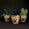 Pottery owl plant holders