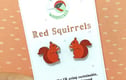 Stud Earrings
