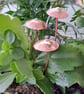 Copper texured garden mushroom, plant pot decoration, gift - Image 2