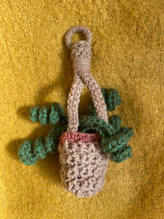 Crochet hanging houseplant