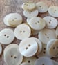 18mm almost 3 4" River Shell Rainbow - Image 1