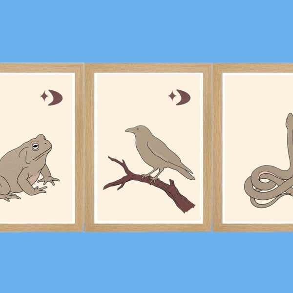Woodland Creature Print Set – Frog, Snake and Raven