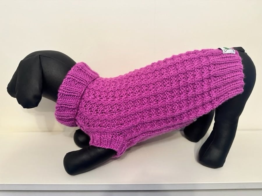 Dog Jumper - Ideal for a Miniature Dachshund or Small Dog