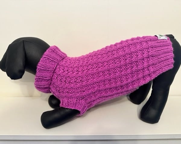 Dog Jumper - Ideal for a Miniature Dachshund or Small Dog