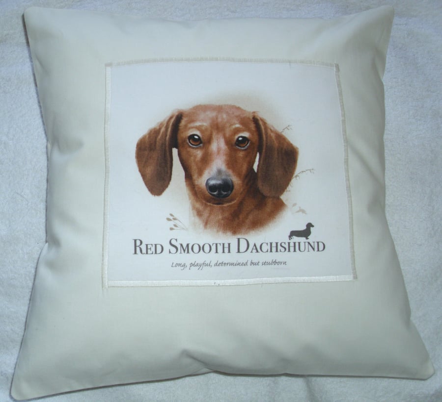 Red  Smooth Dachshund Portrait cushion