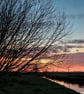 Digital Download Sunset Norfolk Fens  - Image 1