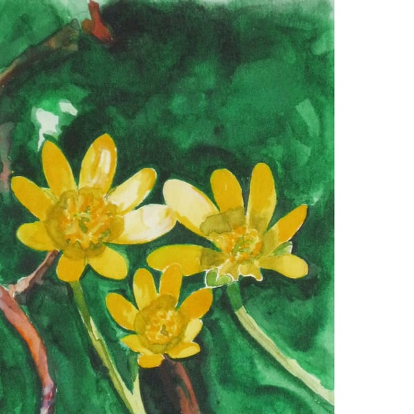 Celandine. Signed, original watercolour.