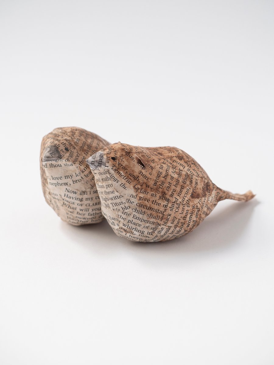 Aria & Mira Paper Mache Birds