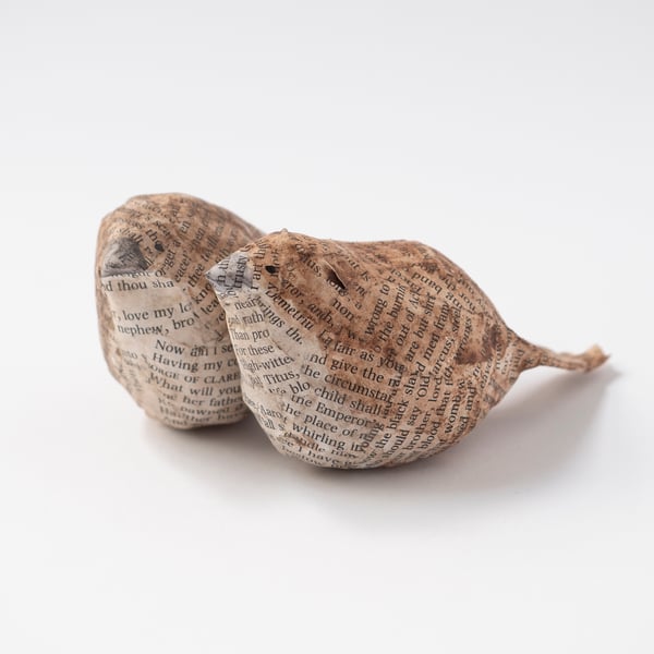 Aria & Mira Paper Mache Birds