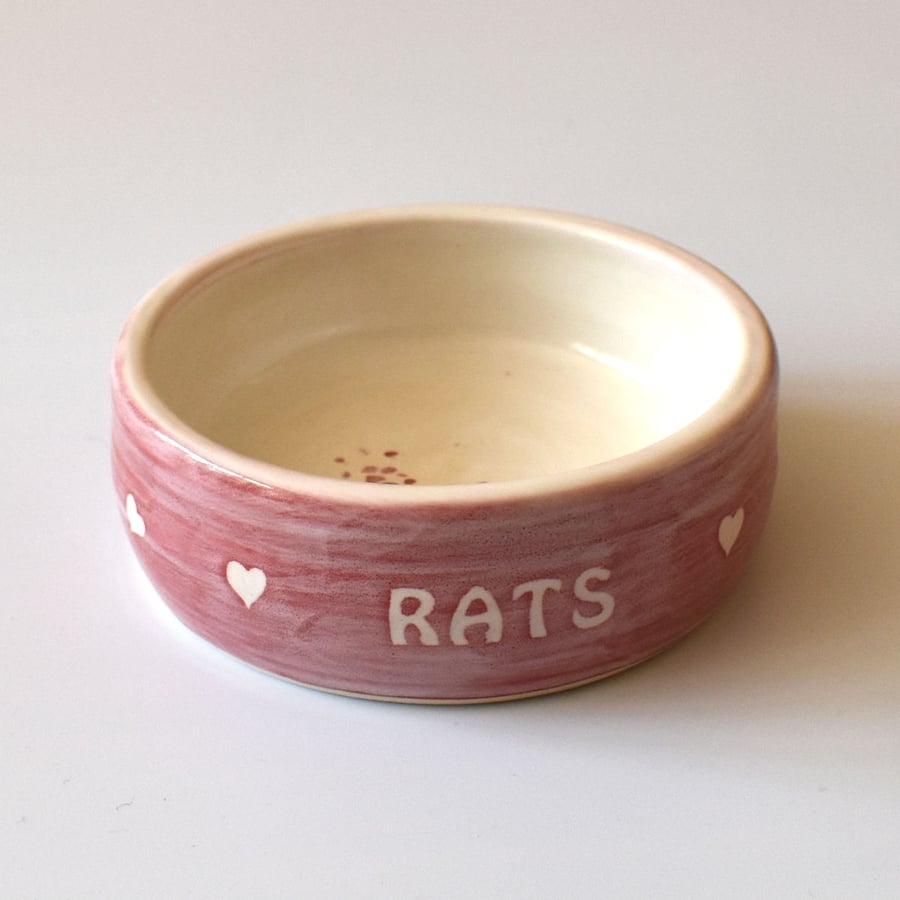 A184 Pet rat bowl RATS (UK postage free)