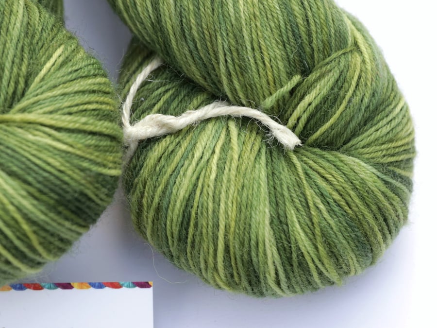 Spider Plant - Superwash Bluefaced Leicester 4 ply yarn
