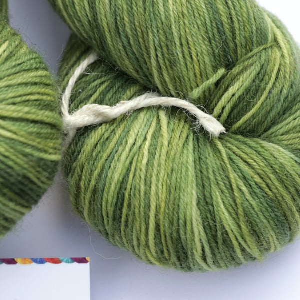 Spider Plant - Superwash Bluefaced Leicester 4 ply yarn