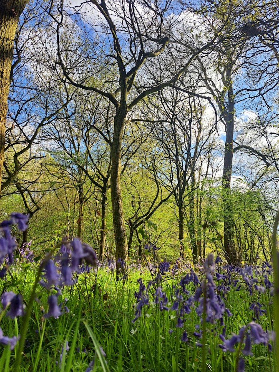 Nettlebed Woodland Floristry and Crafts