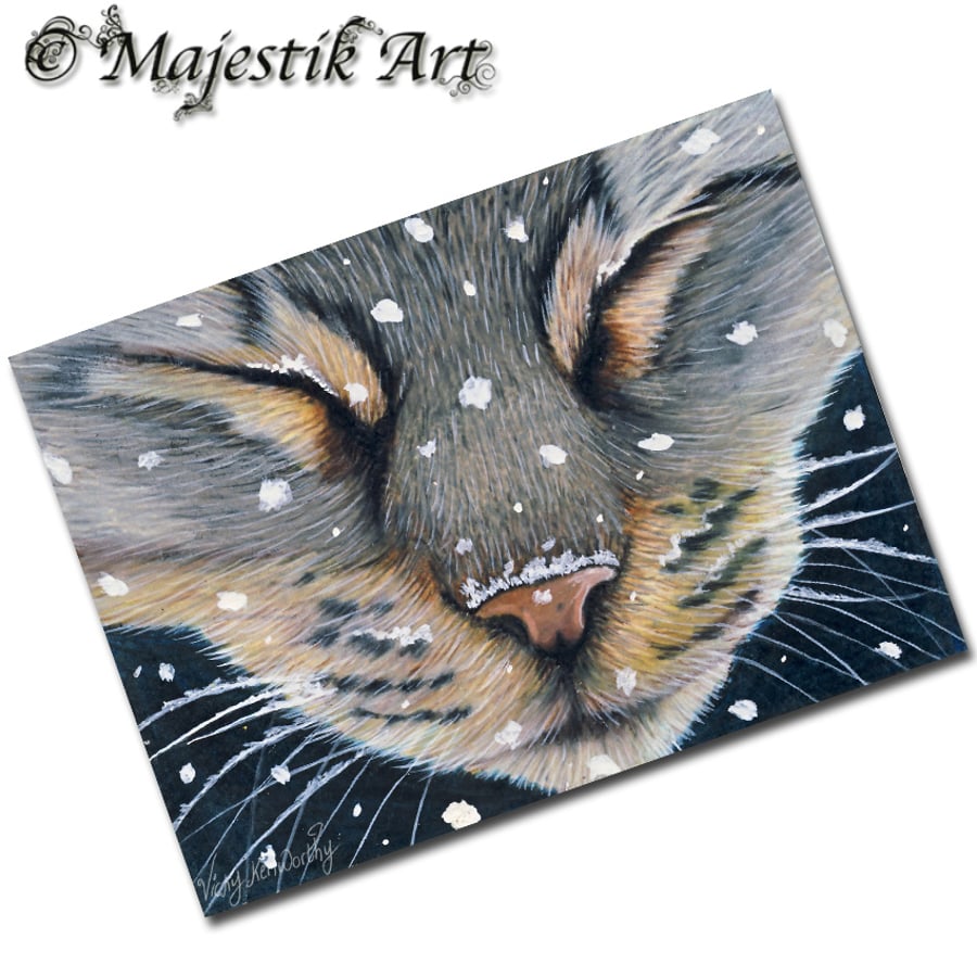 Archival ACEO Tabby Cat Print 'Cold stuff' By V Kenworthy