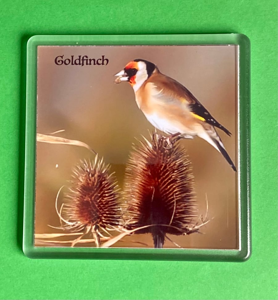 Goldfinch on a Reed - Coaster - Drinks Mat