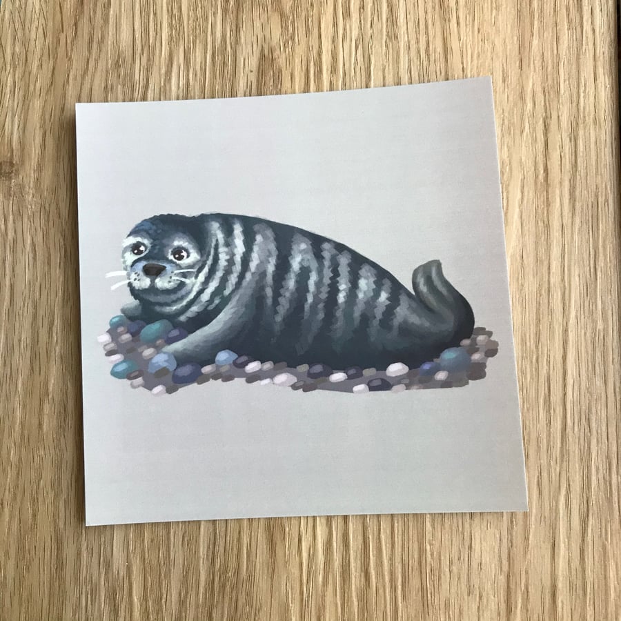 Grey Seal Square Post Card Print