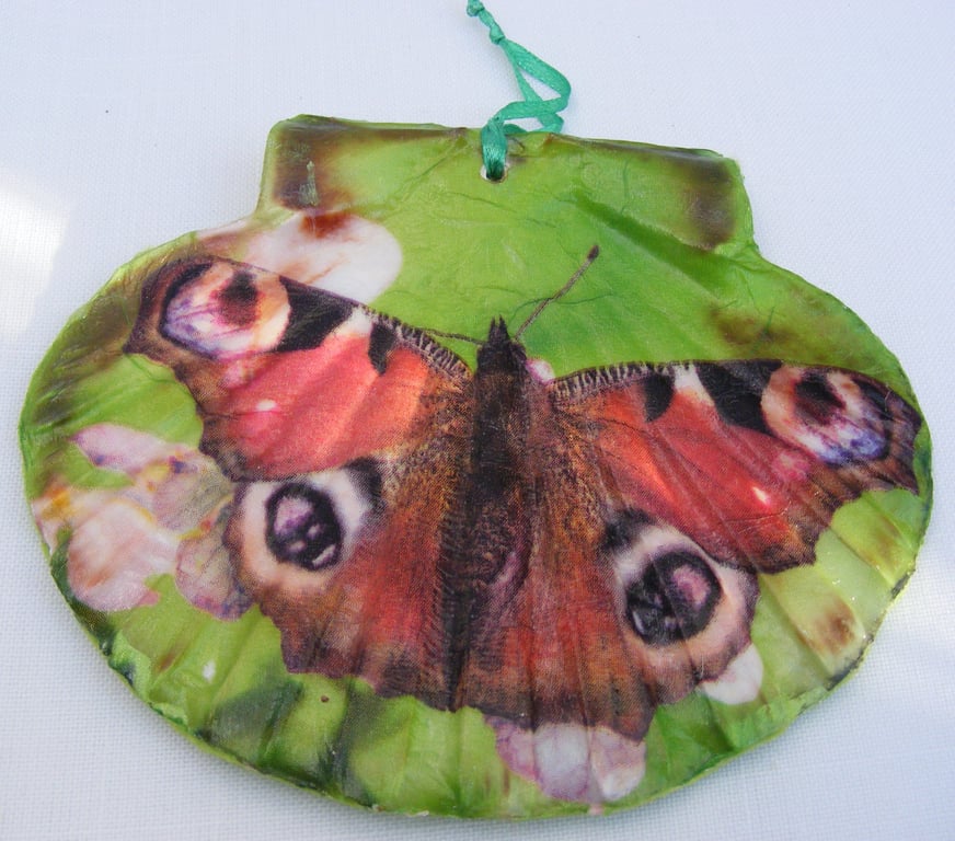 Peacock Butterfly Flat scallop shell wall decoration