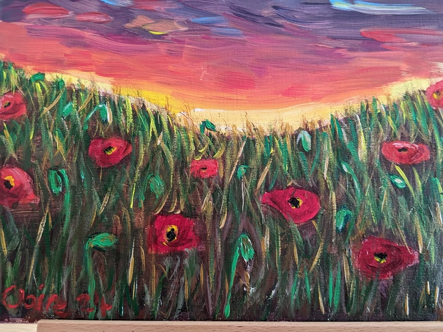 Field of Poppies