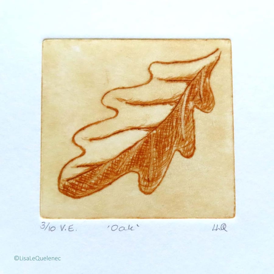 Oak drypoint no.3 of 10 forest floor shades of autumn small scale print
