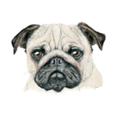 The Glass Sea Artworks