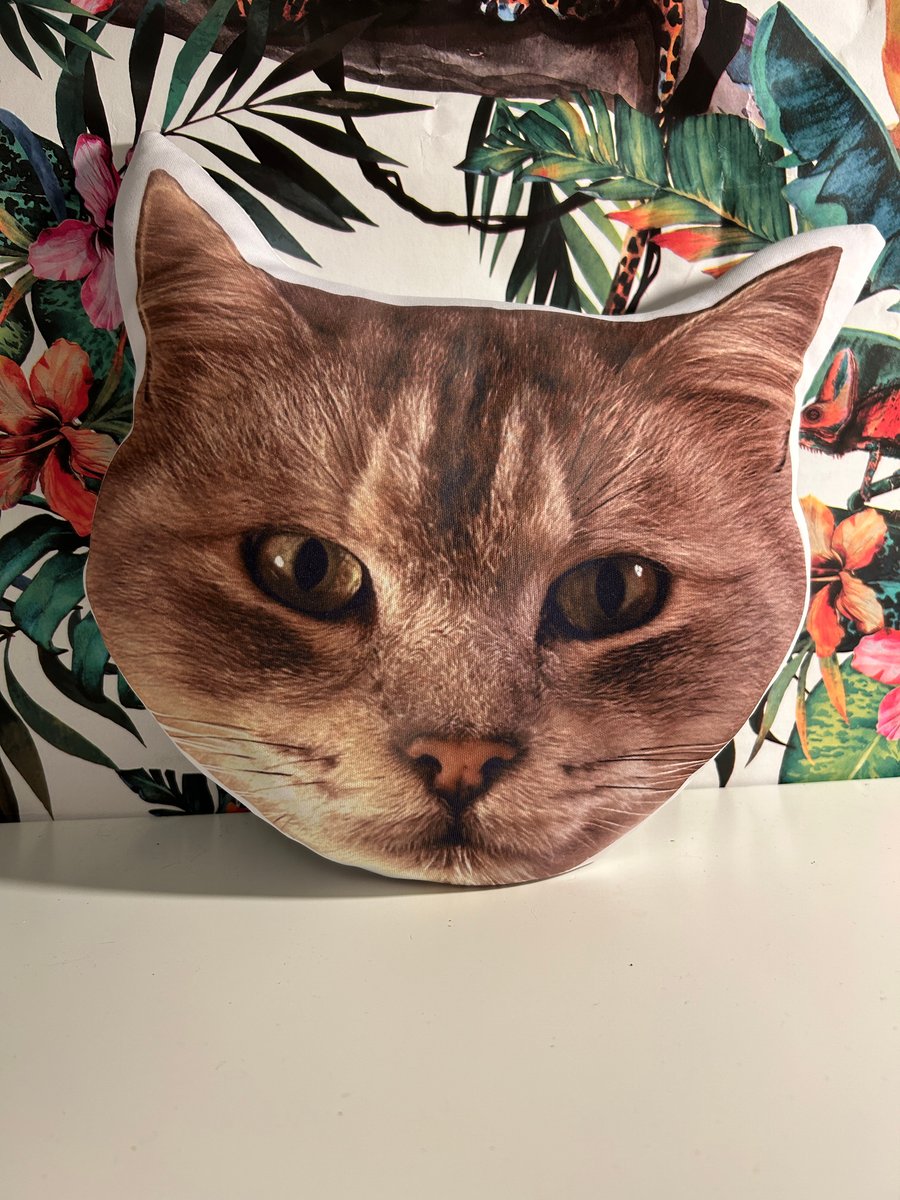 Personalised Cat Cushion 