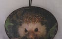 Wall Decorations