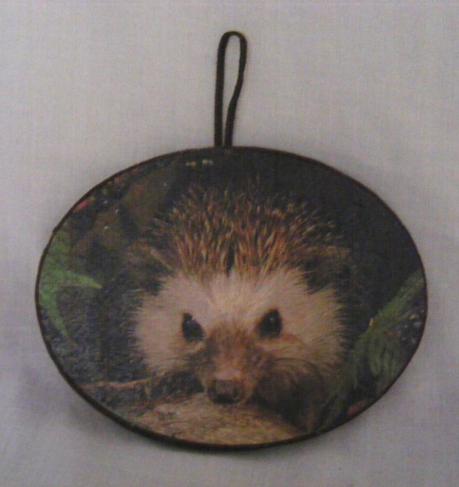 Handmade Oval Hedgehog Wall Decoration