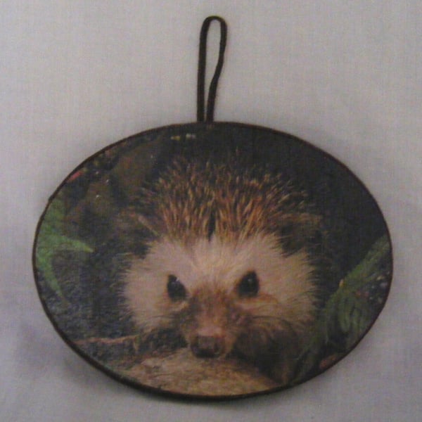 Handmade Oval Hedgehog Wall Decoration