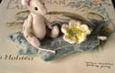 Miniature mice