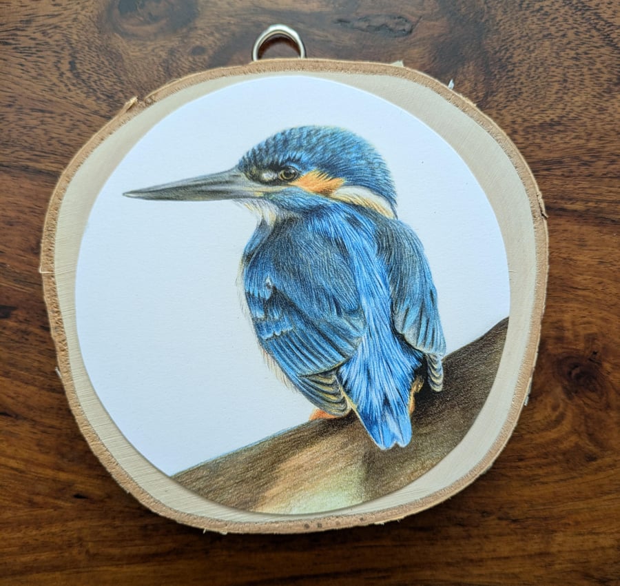 Kingfisher print on birch wood