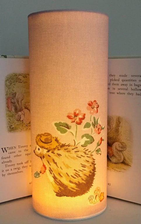 Garden Hedgehog -Handmade Children’s Night Light