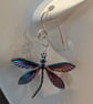 Beautiful Anodised  Stainless Steel Dragonfly Earrings - Image 5