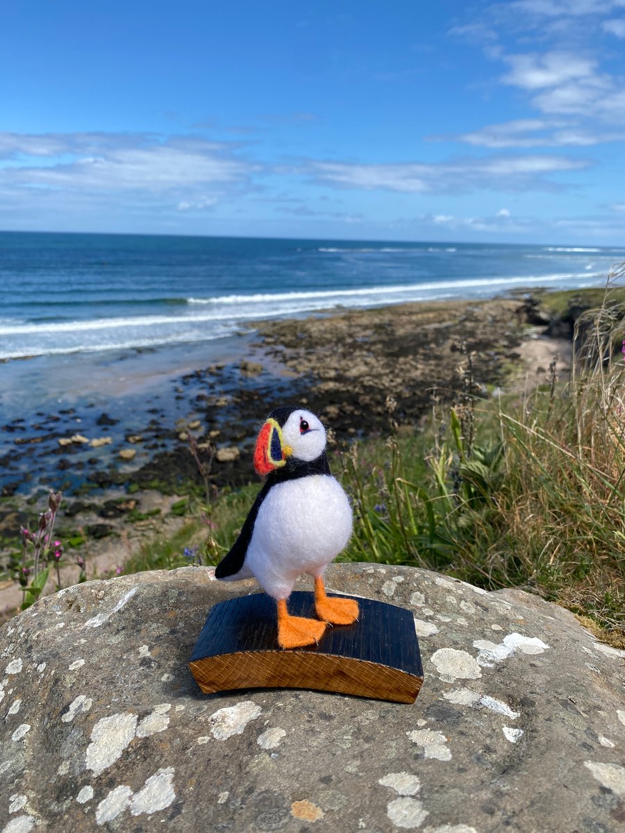 Patrick - Standing Puffin