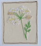 Embroidered Cow Parsley Card - Image 2