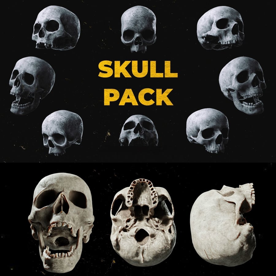 Human Skull Pack - 3D Model OBJ, BLEND, 4K PBR TEXTURES Files 