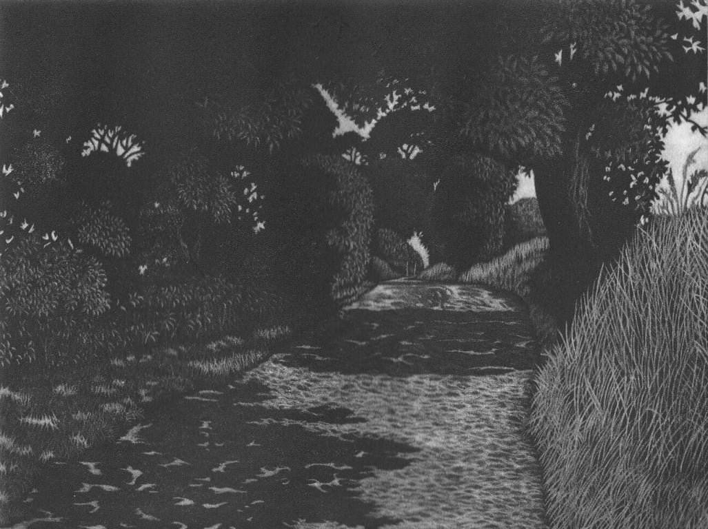 The Last Shadows of Summer